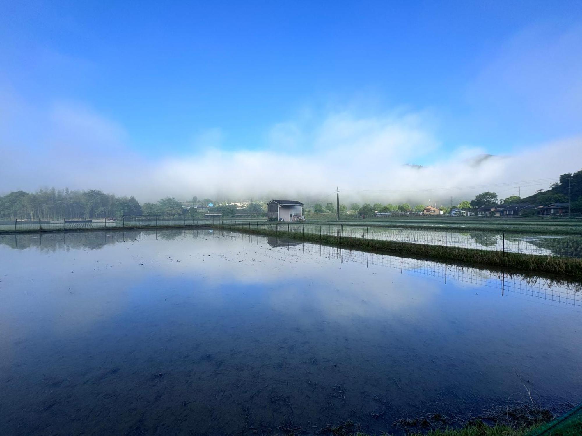 Kumanoyasai Base In Chikatsuyu Villa Tanabe Dış mekan fotoğraf